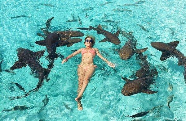 Köpek balıklarıyla serbest yüzeceğin denizler