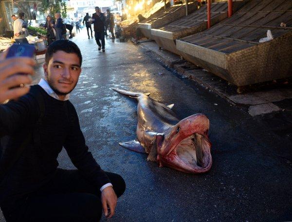 Mersin'de 4 metre uzunluğunda köpek balığı yakalandı