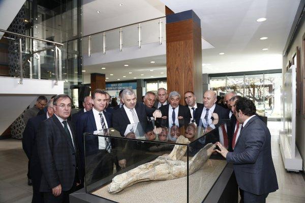 Kayseri'de dünyada tek örneği olan fosiller sergileniyor
