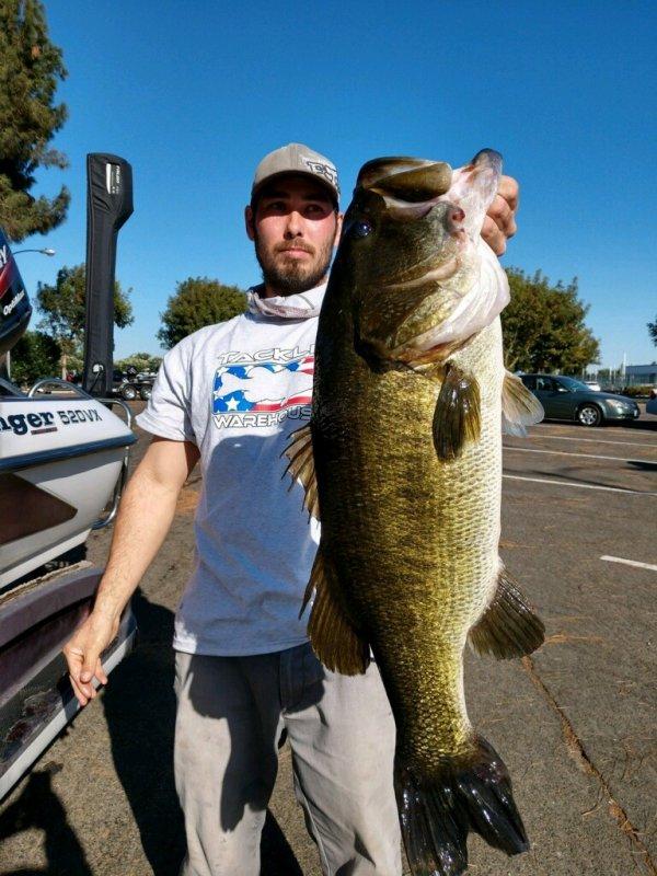 Kaliforniya'daki esrarengiz Berryessa Gölü'nün sırrı