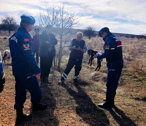2 gündür kayıp olan keçinin imdadına jandarma yetişti