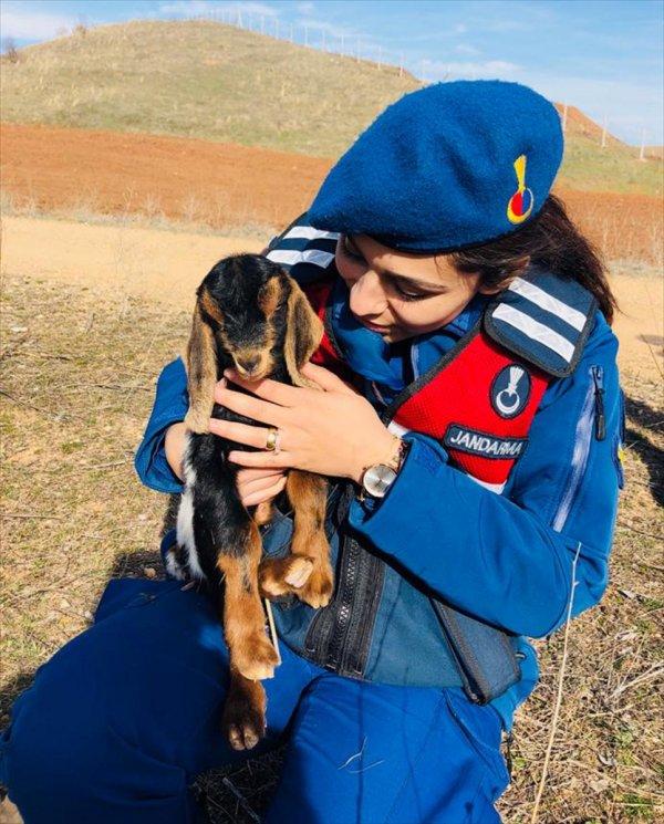 2 gündür kayıp olan keçinin imdadına jandarma yetişti