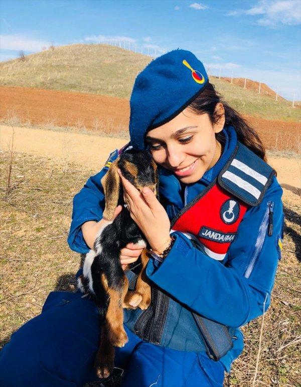 2 gündür kayıp olan keçinin imdadına jandarma yetişti