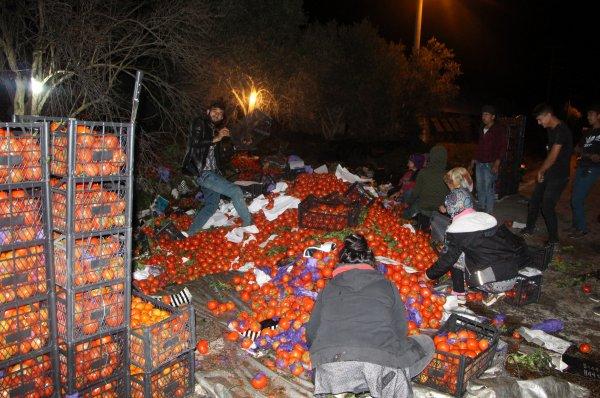 25 ton domates yüklü tır devrildi