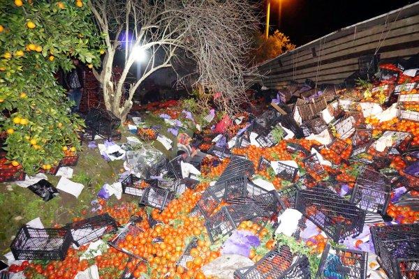 25 ton domates yüklü tır devrildi