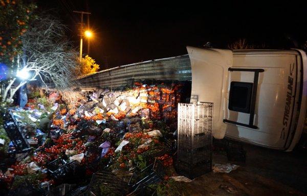 25 ton domates yüklü tır devrildi