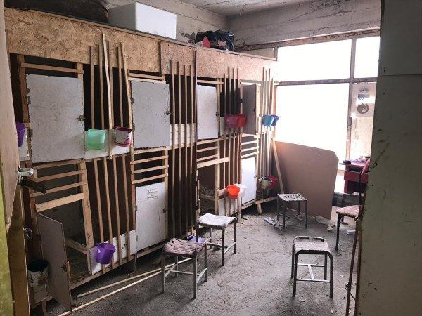 Van'da horoz dövüşü operasyonu