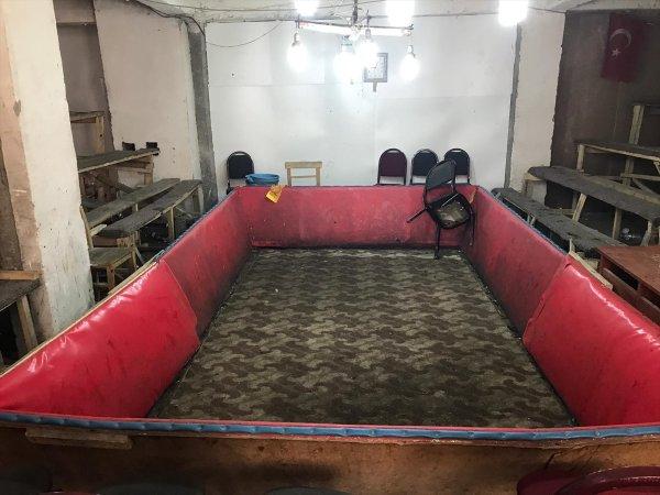 Van'da horoz dövüşü operasyonu