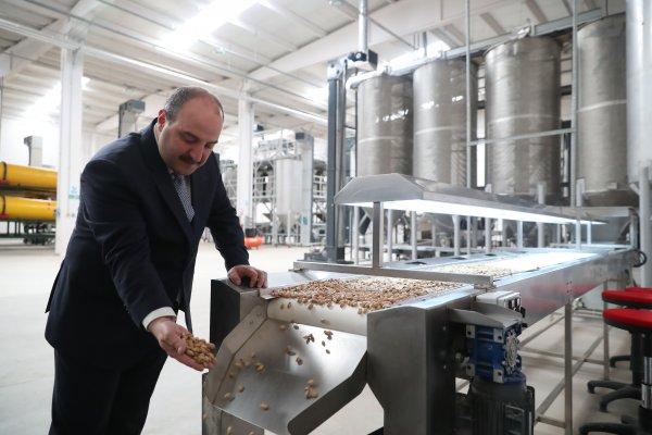 Bakan Varank: Bu proje ile dağ taş fıstık ağacı oldu