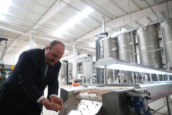 Bakan Varank: Bu proje ile dağ taş fıstık ağacı oldu