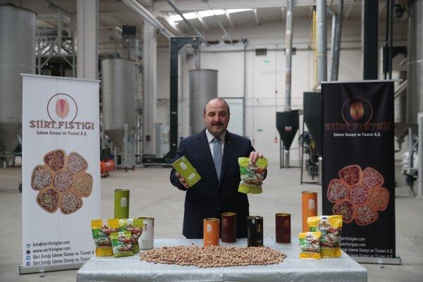 Bakan Varank: Bu proje ile dağ taş fıstık ağacı oldu