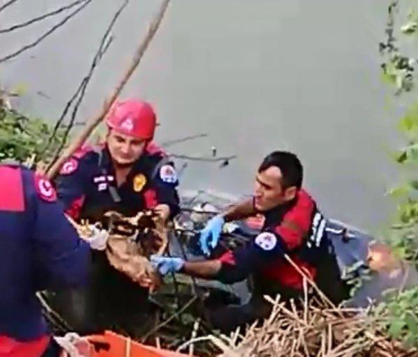 Motosiklet kazasında sürücü öldü tavuk ve civciv kurtuldu