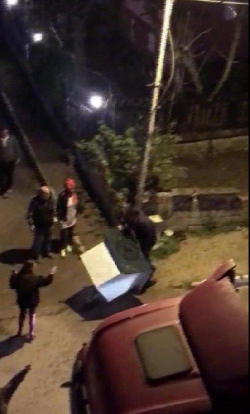 Hayvan kulübelerini tekmeleyerek kaldırdı