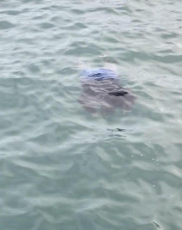 Teknedekiler boğulan kadına yardım etmediler