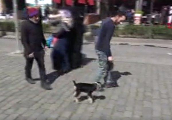 Yavru keçiyle yürüyüş yapan Trabzonlu