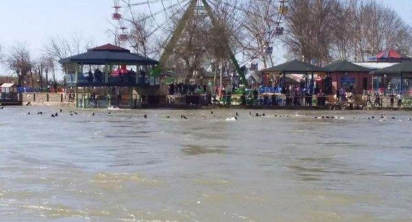 Irak'ta feribot battı: 100 ölü