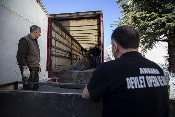 Troya iki tırla Rusya yoluna çıktı