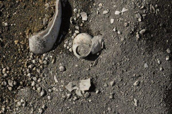 Muş'ta 11 milyon yıllık fosil keşfi