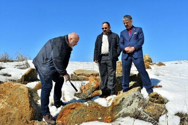 Muş'ta 11 milyon yıllık fosil keşfi