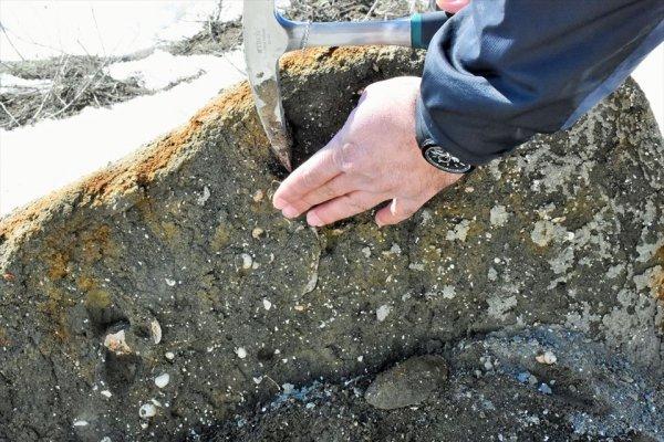Muş'ta 11 milyon yıllık fosil keşfi