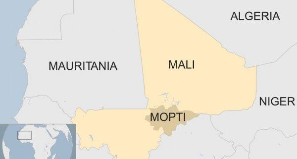 Mali'de silahlı grup köye saldırdı: 115 ölü