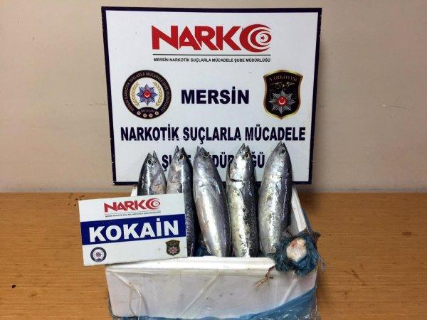 Balığın solungacında uyuşturucu kaçakçılığı