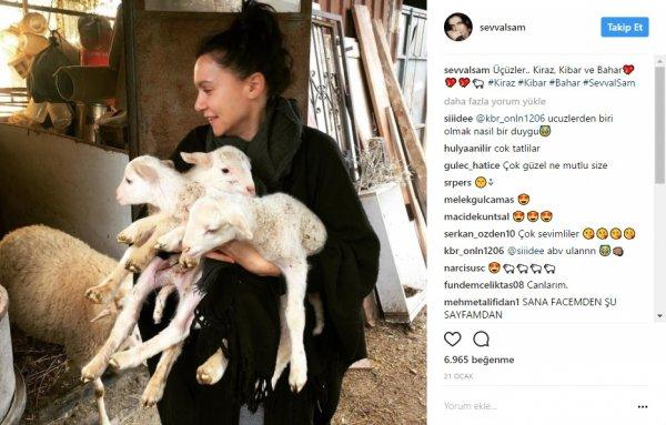 Şevval Sam: 20 yıldır et ve tavuk yemiyorum