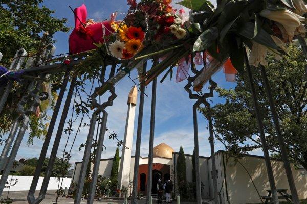 Yeni Zelanda'ya göç başvuruları arttı