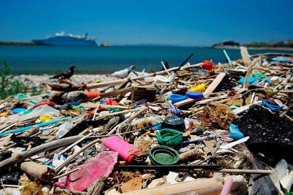 AP tek kullanımlık plastik ürünleri yasakladı