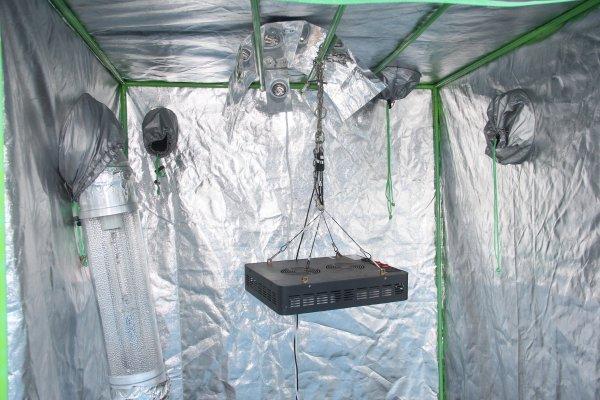 Evinde uyuşturucu serası kurdu, hiçbir masraftan kaçınmadı