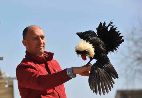 İlginç görünümüyle 'rahibe fizan'