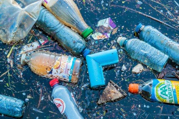 AP tek kullanımlık plastik ürünleri yasakladı