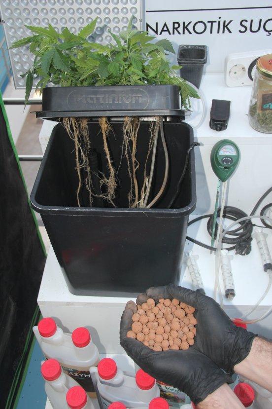 Evinde uyuşturucu serası kurdu, hiçbir masraftan kaçınmadı