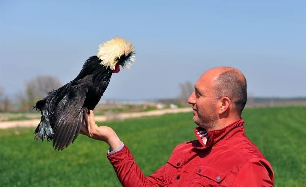 İlginç görünümüyle 'rahibe fizan'