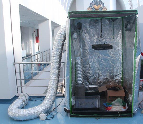 Evinde uyuşturucu serası kurdu, hiçbir masraftan kaçınmadı