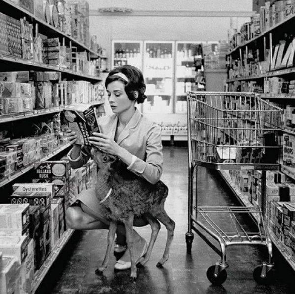 Salvador Dali'nin karıncayiyeniyle fotoğrafı