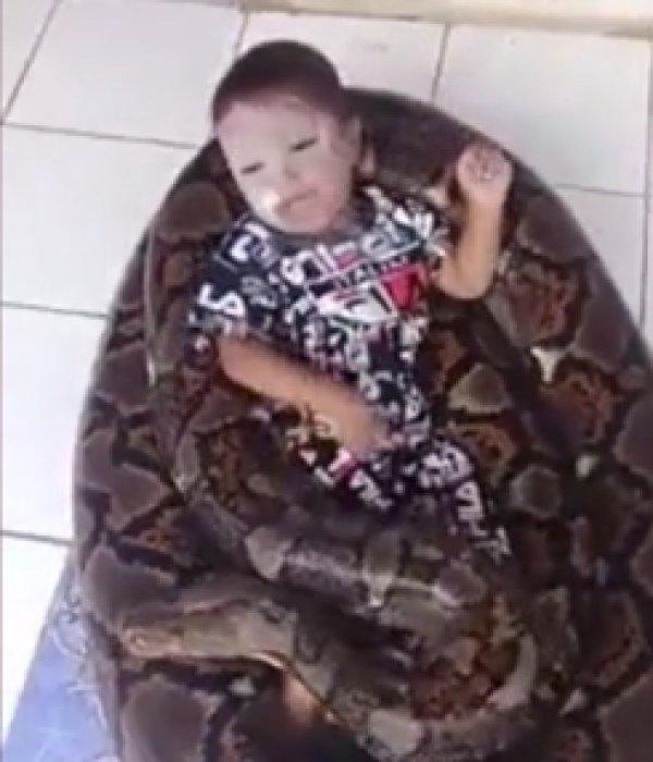 Pitonla oynayan bebek