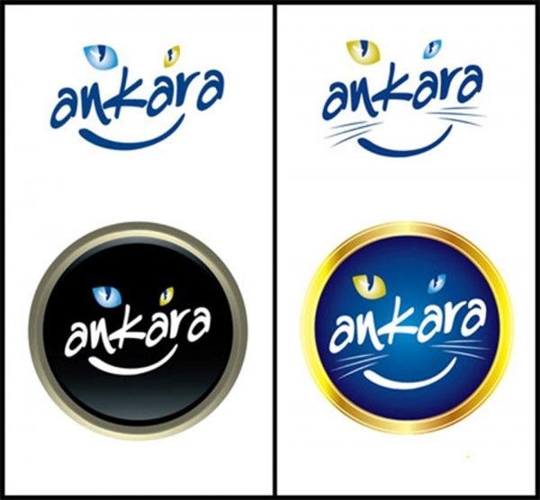 CHP'liler Ankara için ilk kampanyayı başlattı