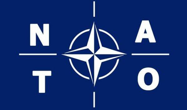 Nato nedir