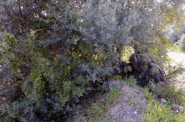 TSK'nın keskin nişancısı görülmeden gördü