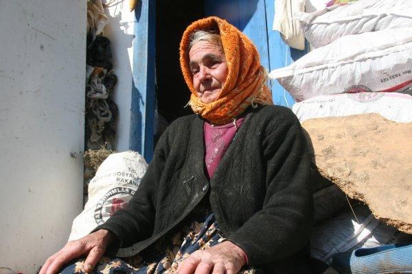 Telef olan ineği için gözyaşı döken Sabiha Nine