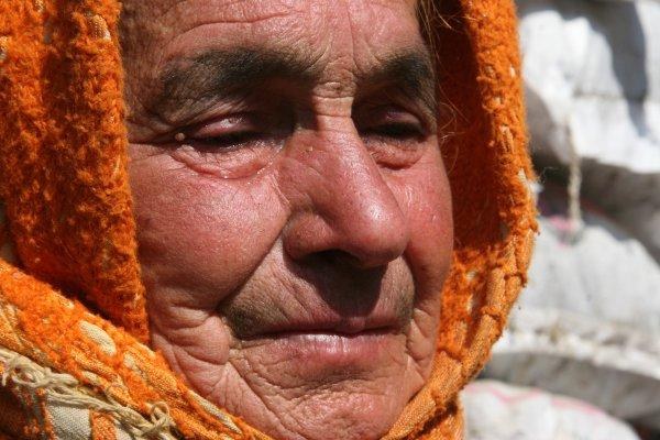 Telef olan ineği için gözyaşı döken Sabiha Nine