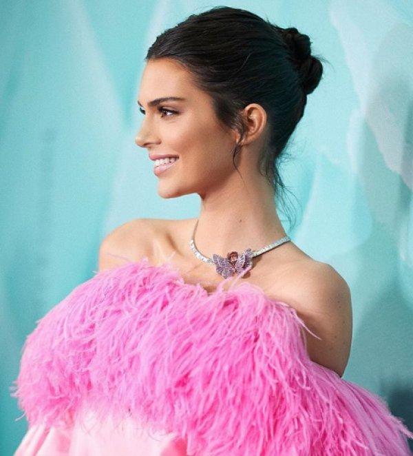 Kendall Jenner'ın serveti şaşırtıyor