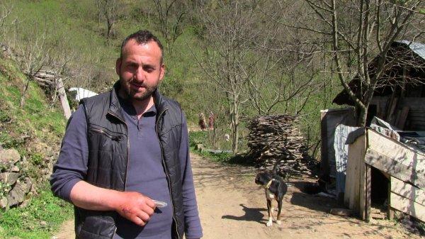 Artvin'de ayı saldırıları köylüleri bezdirdi