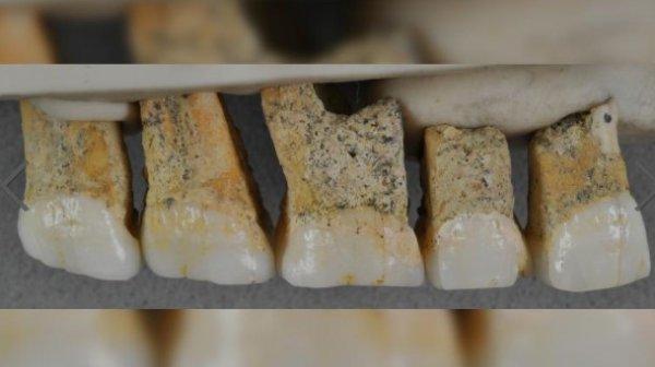 Filipinler'de yeni bir insan türüne ait fosiller bulundu