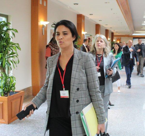 Mevlüt Çavuşoğlu'ndan Fransız parlamentere ayar