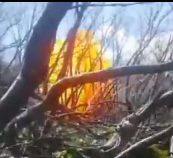 Diyarbakır'da 11 terör sığınağı imha edildi