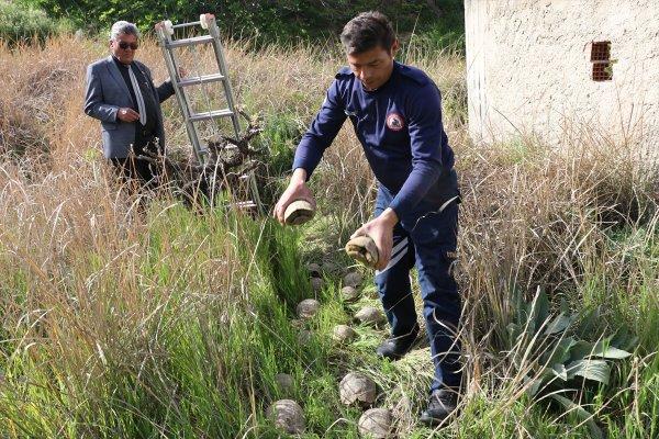 Kuyuda mahsur kalan kaplumbağaları itfaiye kurtardı