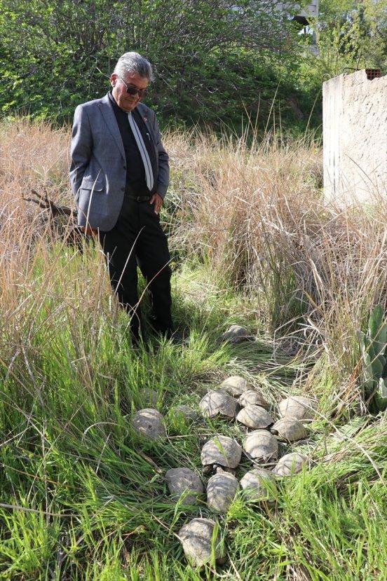 Kuyuda mahsur kalan kaplumbağaları itfaiye kurtardı