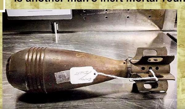 ABD’de yolcuların bagajlarından çıkanlar